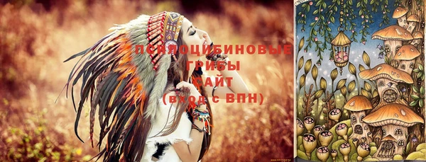 герыч Бронницы