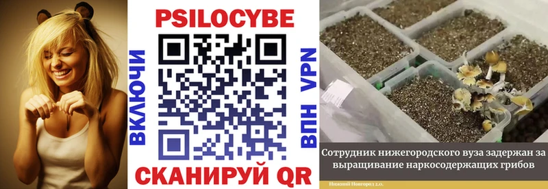 Псилоцибиновые грибы мухоморы  hydra сайт  Красновишерск 